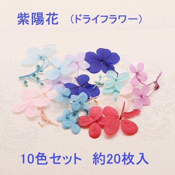商品名:[即納]紫陽花 10色セット 約20枚入り【2019/7/10入荷】 紫陽花/ドライフラワー/天然素材/ブルー/レッド 紫陽花 ドライフラワー 天然素材 ブルー レッド ピンクgaikicra